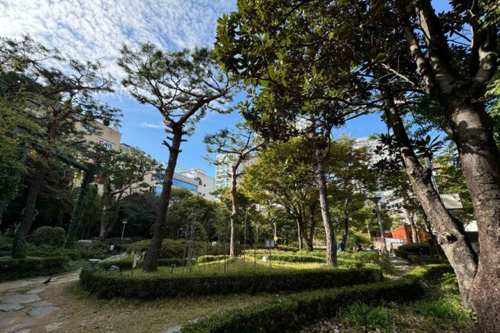 금남로공원 금남나비정원 여행 추천 - 메고지고