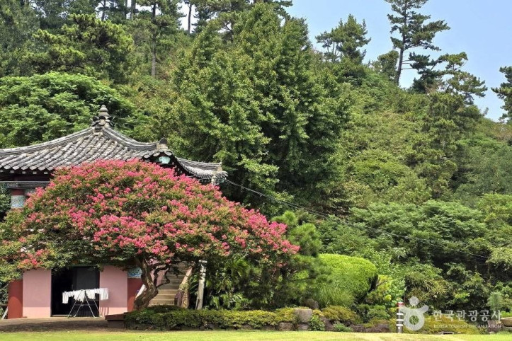 월영사(제주) 여행 추천 - 메고지고