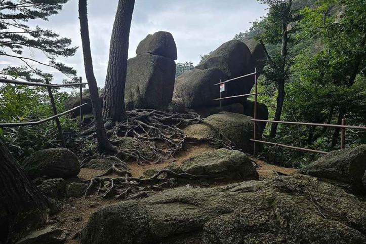 속리산국립공원(충북) 여행 추천 - 메고지고