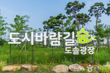 성정공원 여행 추천 - 메고지고