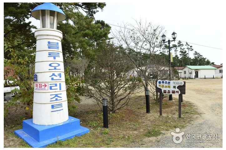 블루오션리조트 여행 추천 - 메고지고