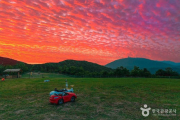 동축사 여행 추천 - 메고지고