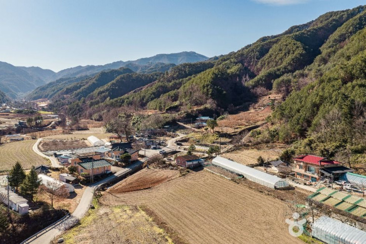 삼척 가시오가피마을 여행 추천 - 메고지고