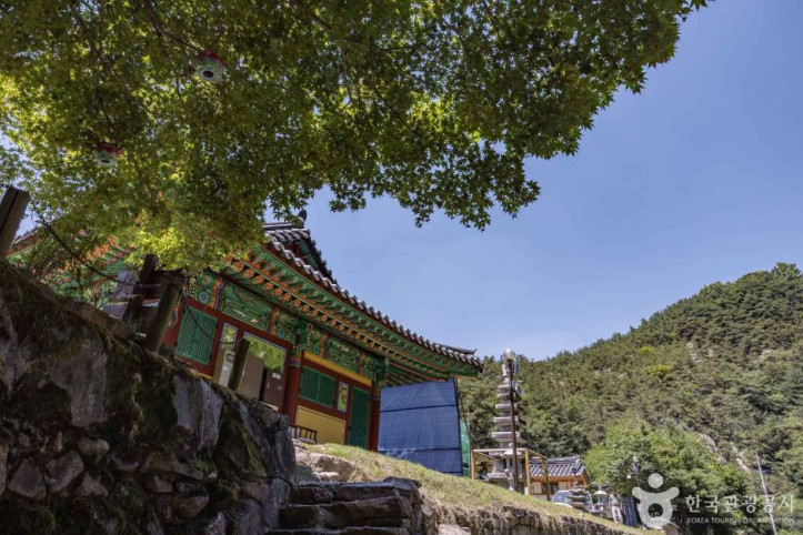 동화사(충북) 여행 추천 - 메고지고