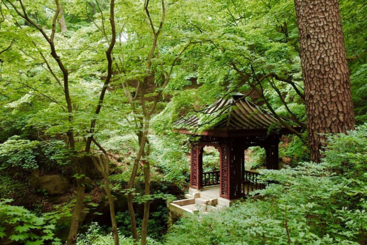 대원군별장(석파정) 여행 추천 - 메고지고