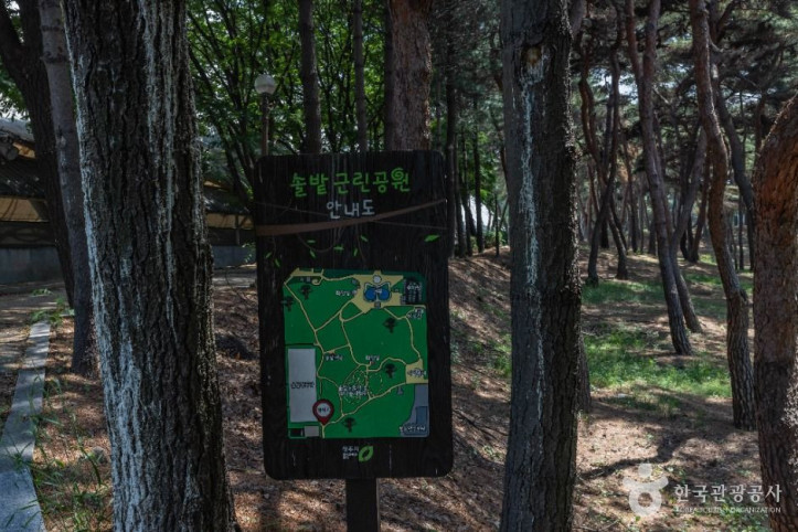 솔밭공원 여행 추천 - 메고지고