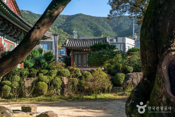 백련사(대구) 여행 추천 - 메고지고