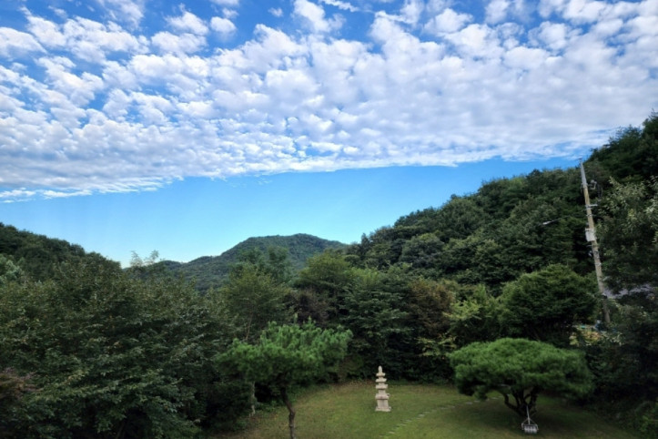 유한회사복합문화공간 서리울 여행 추천 - 메고지고
