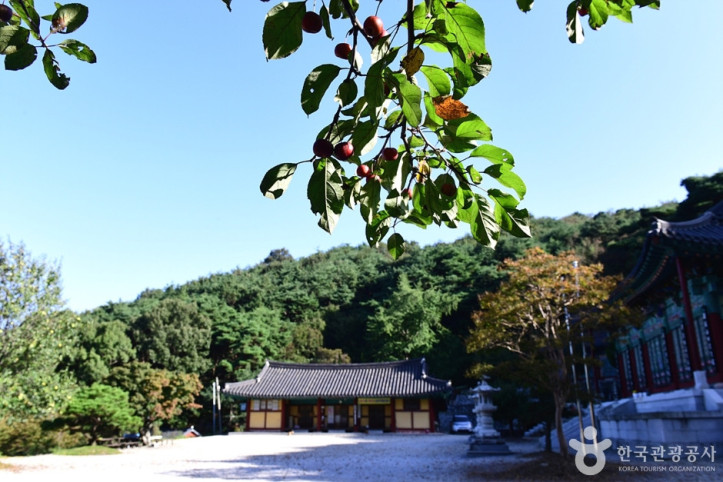 남고사(전주) 여행 추천 - 메고지고