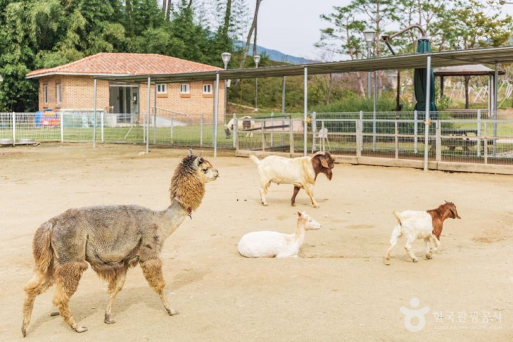 익산 액션하우스 여행 추천 - 메고지고