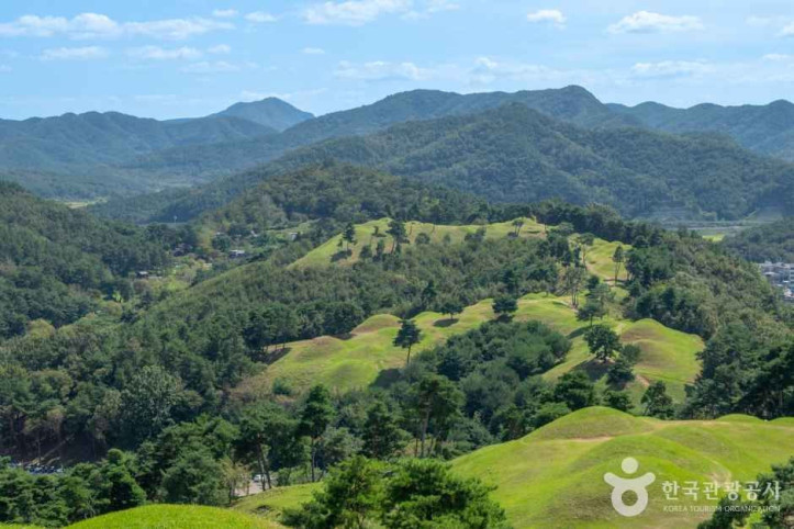 고령 지산동 고분군 여행 추천 - 메고지고