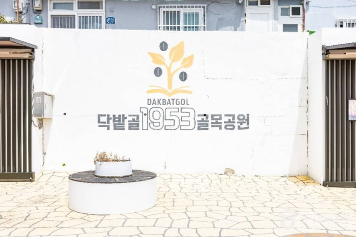 닥밭골 벽화마을 여행 추천 - 메고지고
