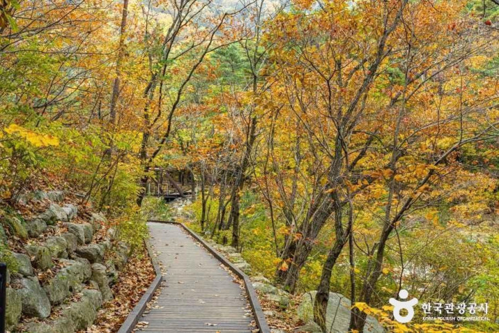 설악산 오색주전골 여행 추천 - 메고지고
