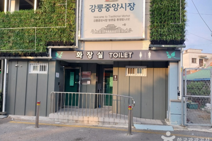 강릉 월화거리 여행 추천 - 메고지고