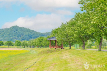 봉서정 여행 추천 - 메고지고