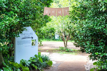 뽀로로앤타요 테마파크 제주 여행 추천 - 메고지고