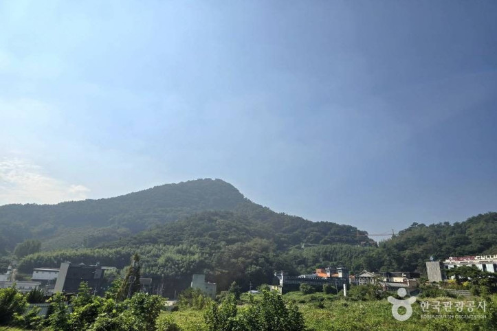 마금산 여행 추천 - 메고지고