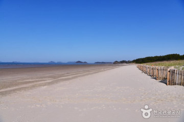 안면해수욕장 여행 추천 - 메고지고