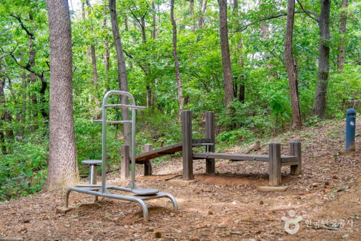 동학산공원 여행 추천 - 메고지고
