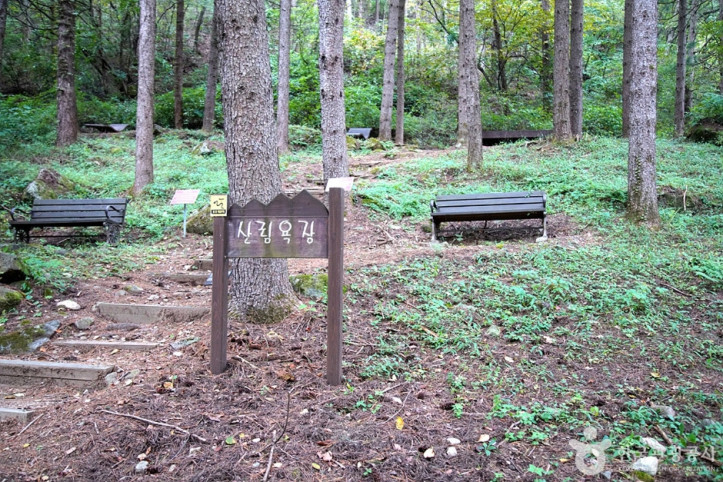 국립 백운산자연휴양림(원주) 여행 추천 - 메고지고