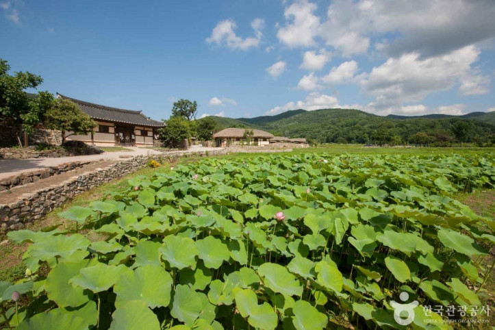외암민속마을 여행 추천 - 메고지고