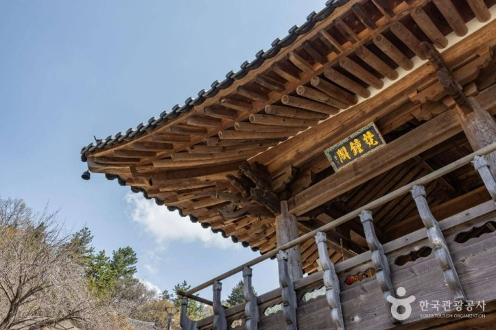 금둔사 여행 추천 - 메고지고