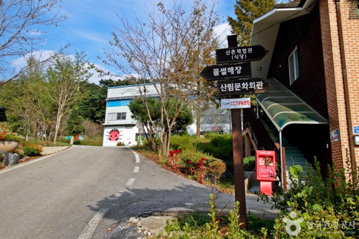 남천리 산촌생태마을 여행 추천 - 메고지고