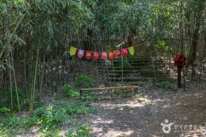 면천읍성 대숲바람길 여행 추천 - 메고지고