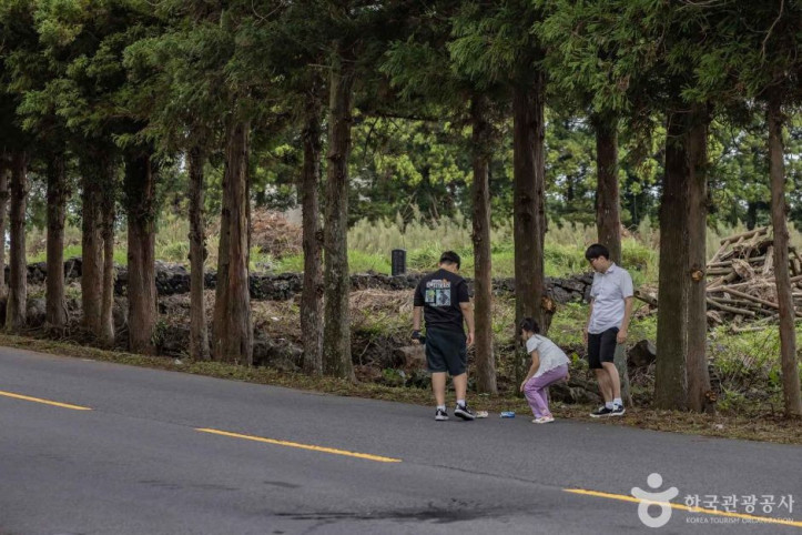 신비의도로 여행 추천 - 메고지고
