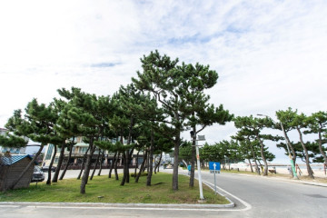 양양동해신묘지 여행 추천 - 메고지고