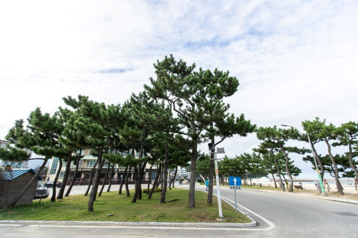 낙산해수욕장 여행 추천 - 메고지고