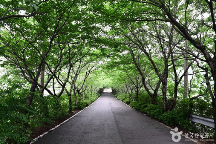 승월마을 여행 추천 - 메고지고