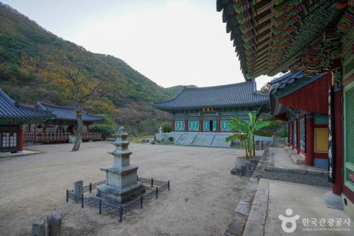 의림사 삼층석탑 여행 추천 - 메고지고