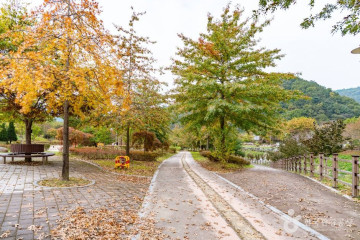 증평 좌구산 명상구름다리 여행 추천 - 메고지고