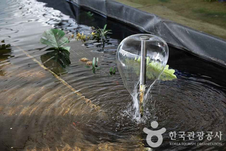 찬우물 체험동물농장 여행 추천 - 메고지고