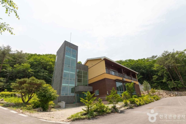 국립 용화산자연휴양림 여행 추천 - 메고지고