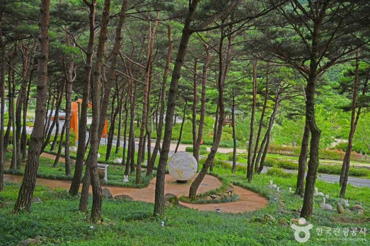 야생화테마랜드 여행 추천 - 메고지고