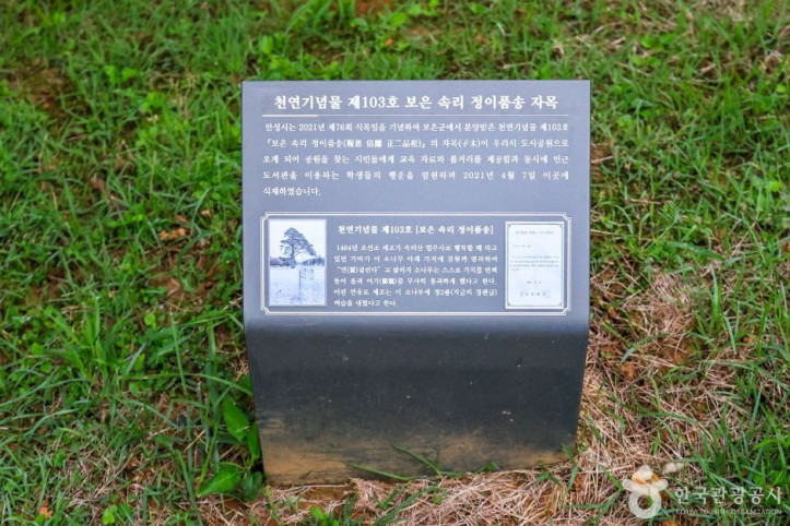 솔밭공원(안성) 여행 추천 - 메고지고