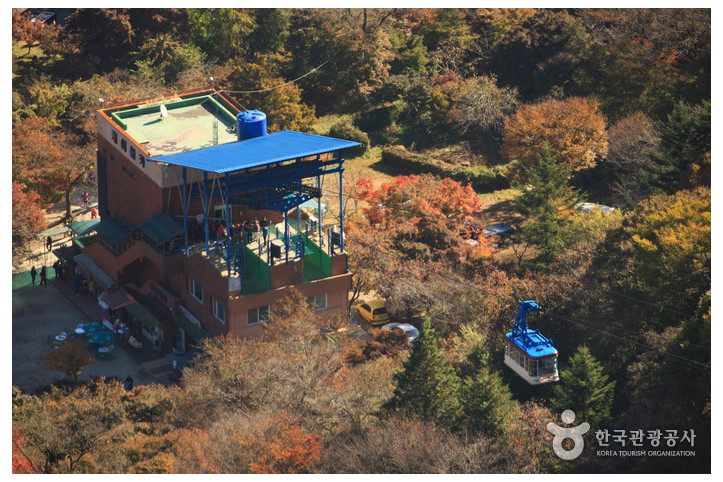 내장산 케이블카 여행 추천 - 메고지고