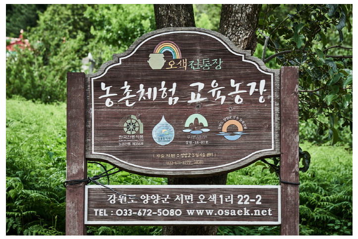 오색약수골전통장 여행 추천 - 메고지고