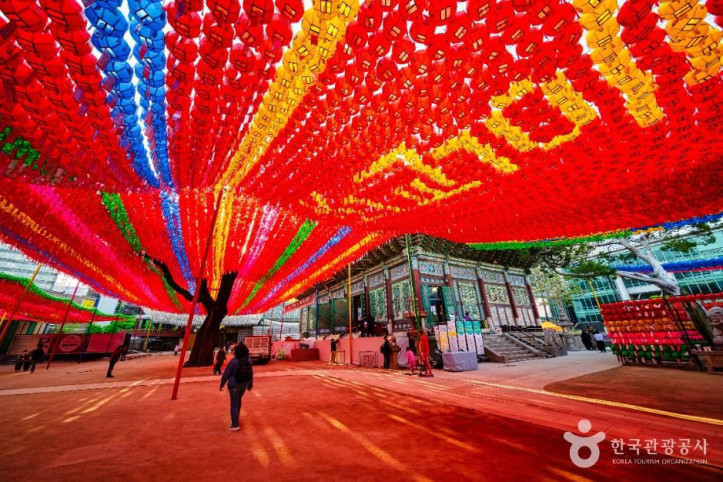 조계사(서울) 여행 추천 - 메고지고