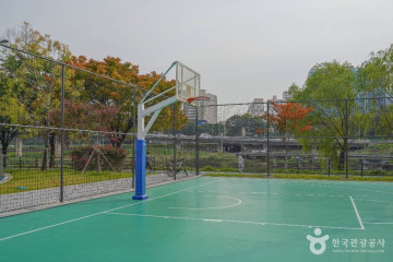 서울 살곶이 다리 여행 추천 - 메고지고
