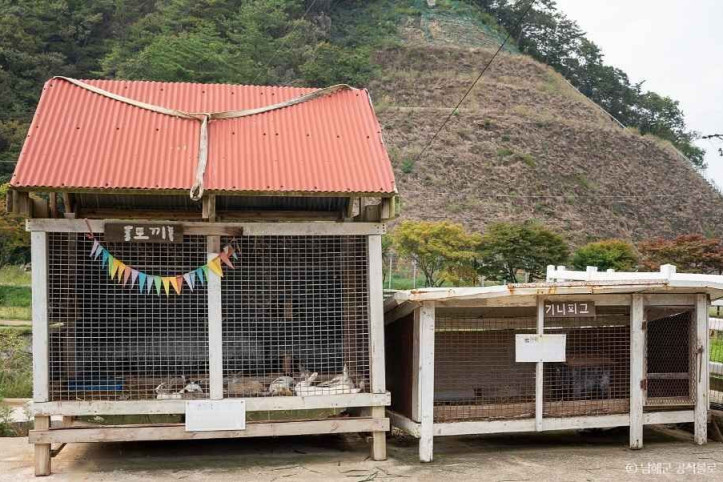 남해양떼목장 양마르뜨언덕 여행 추천 - 메고지고