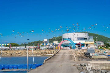 백미항 여행 추천 - 메고지고