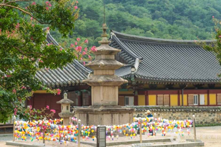 표충사(밀양) 여행 추천 - 메고지고