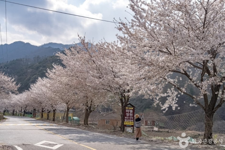 물한계곡 여행 추천 - 메고지고