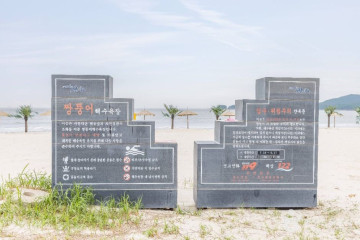 짱뚱어다리 여행 추천 - 메고지고