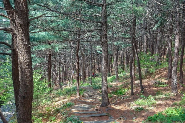[서울둘레길 12코스] 호암산코스 여행 추천 - 메고지고