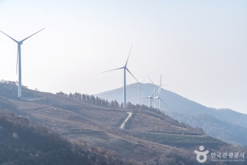 평창 육백마지기 여행 추천 - 메고지고
