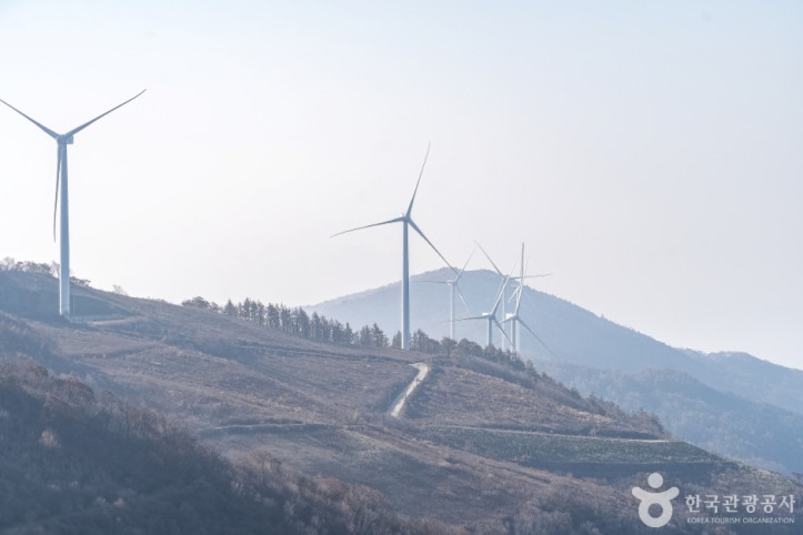 청옥산전망대 여행 추천 - 메고지고